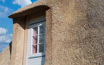 Advie thatch roof disadvantages